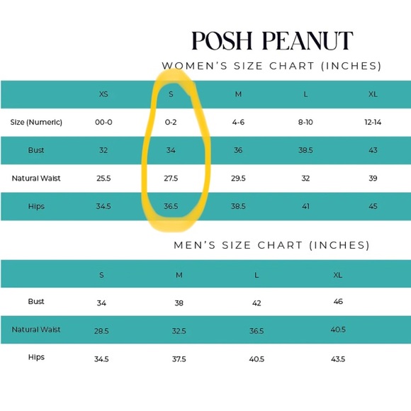 🆕 Women’s Posh Peanut Sophia Ice Cream Short Sleeve Bamboo Loungewear - Small - Picture 8 of 9